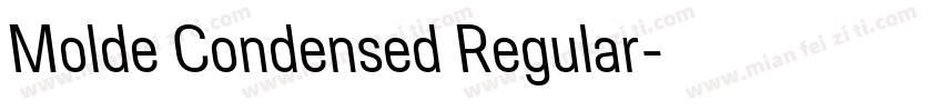 Molde Condensed Regular字体转换